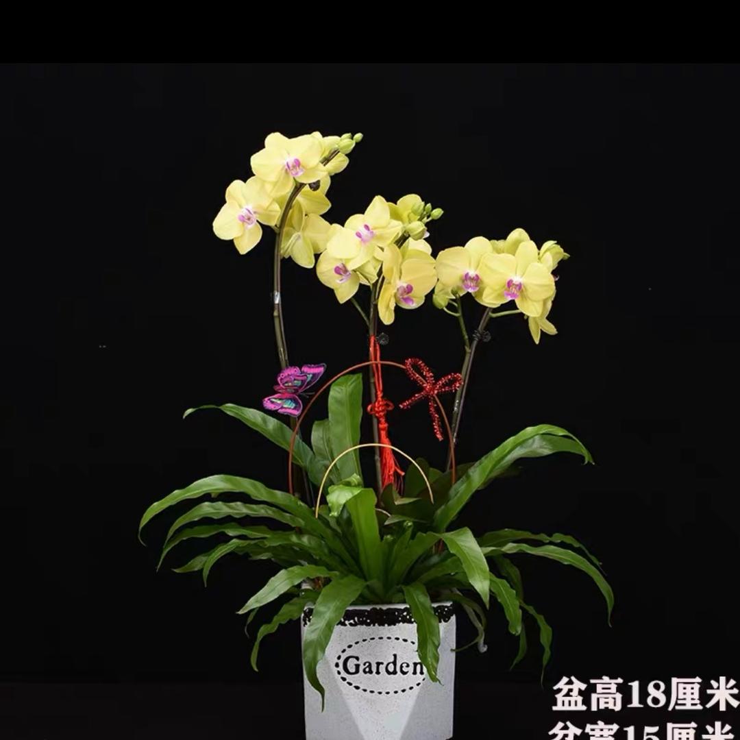 北京花怡园科技