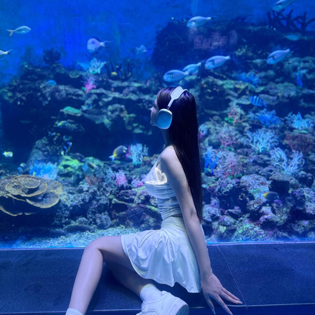 一颗小豆芽