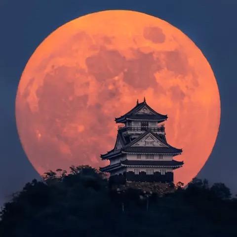 听风  图文