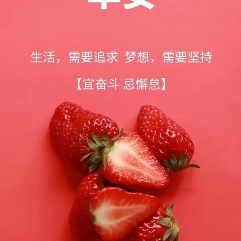 🆃糖果姐姐🧍‍♀️