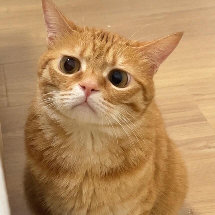 陈年年