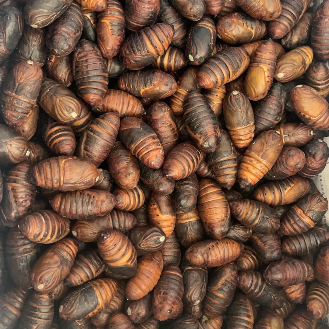 千山聚宾温泉度假