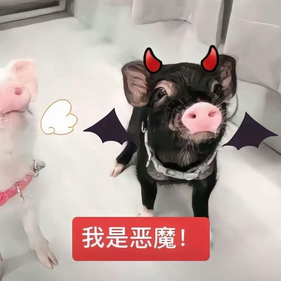 二婚读懂人心