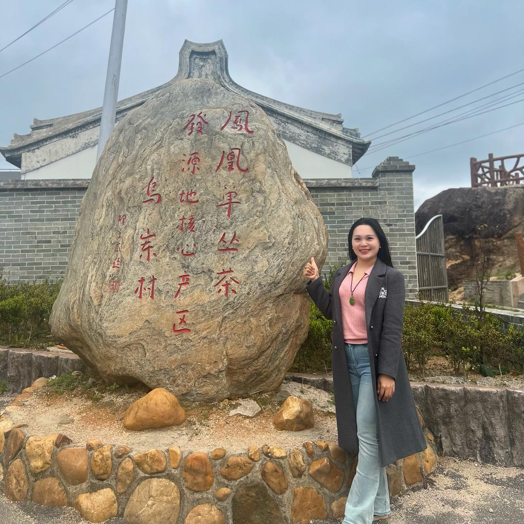 珠珠凤凰茶批发（潮汕人）