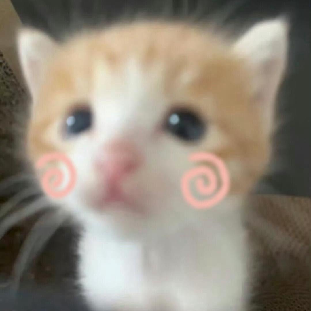 本包