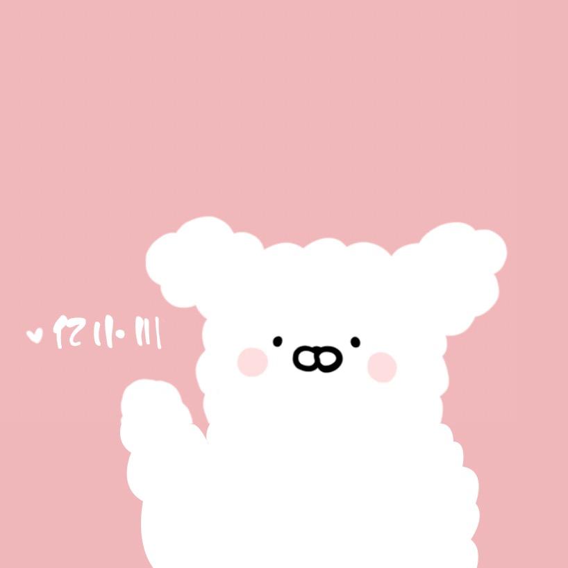 小圆儿（只卖正品版）