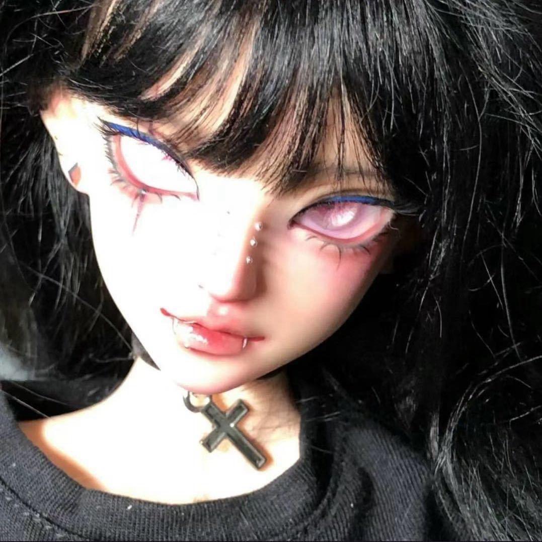 白鸟律