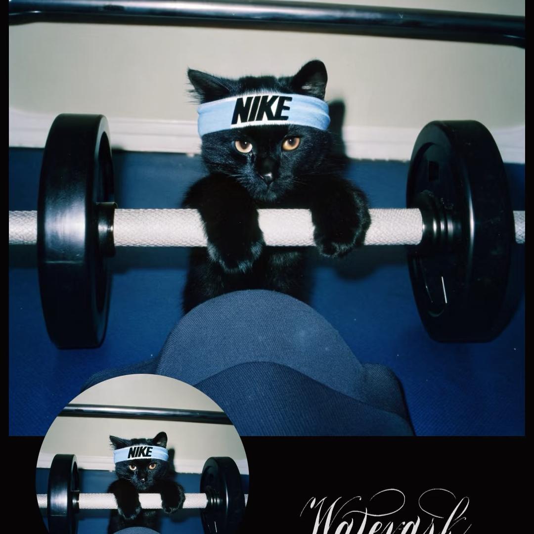 Mic Gym