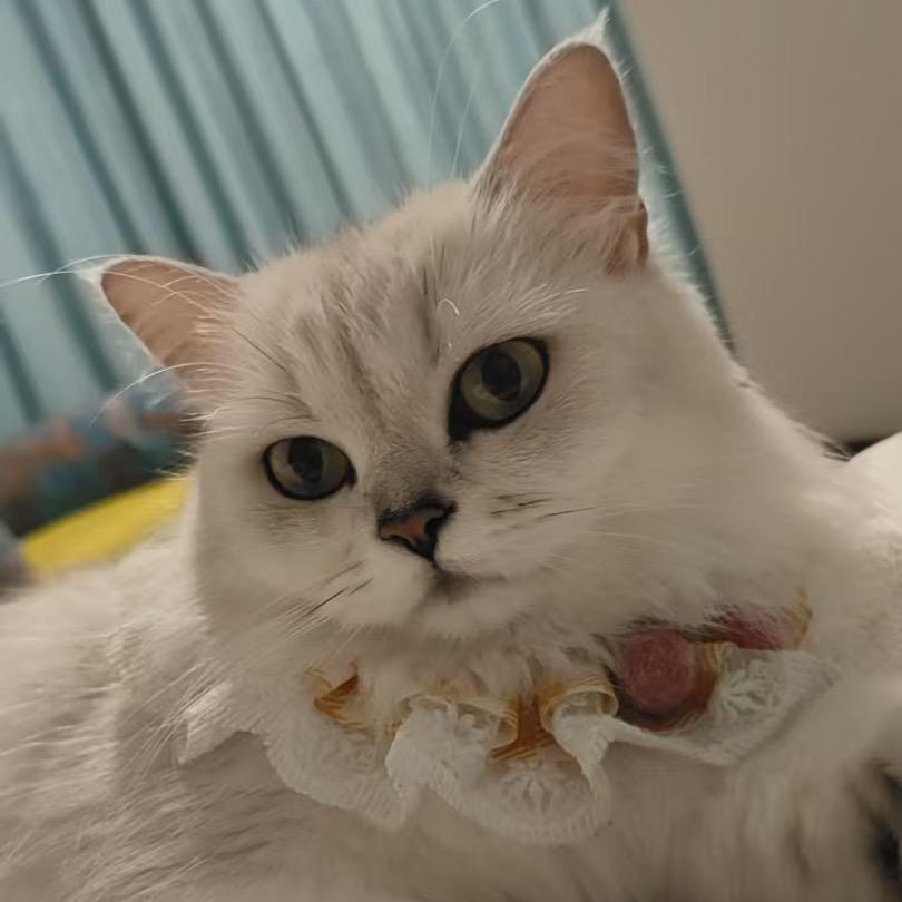 躲贵妃