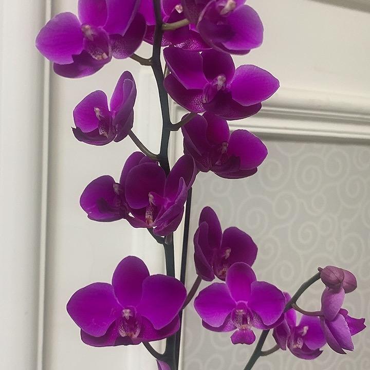 💝﹌好运连连🌸