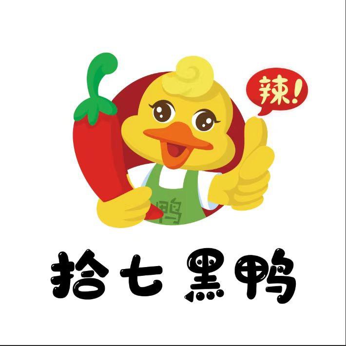 鸡西市拾七黑鸭官方店