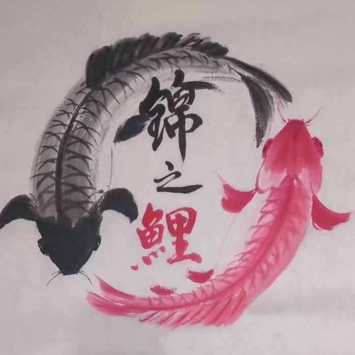 精彩锦之鲤