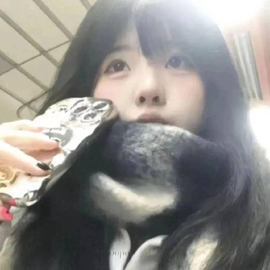 小雪动漫
