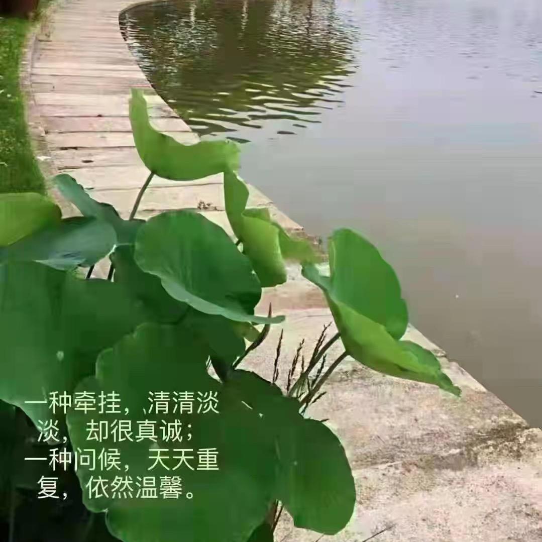 小小心