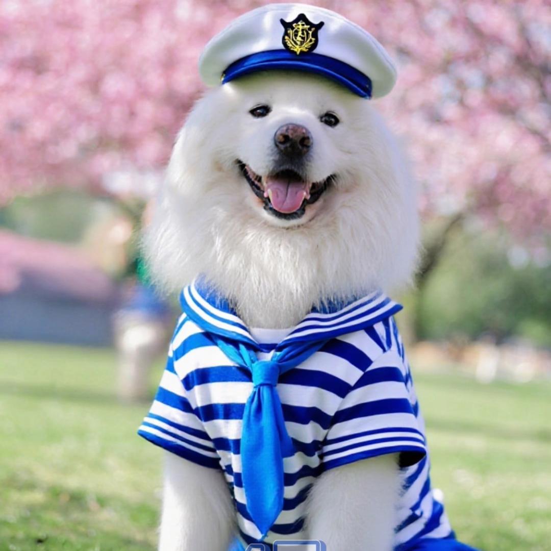 ღ᭄ꦿ࿐叮叮寳 ღ᭄ꦿ࿐