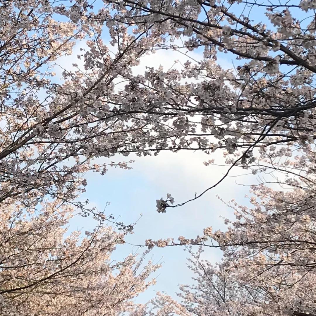春天