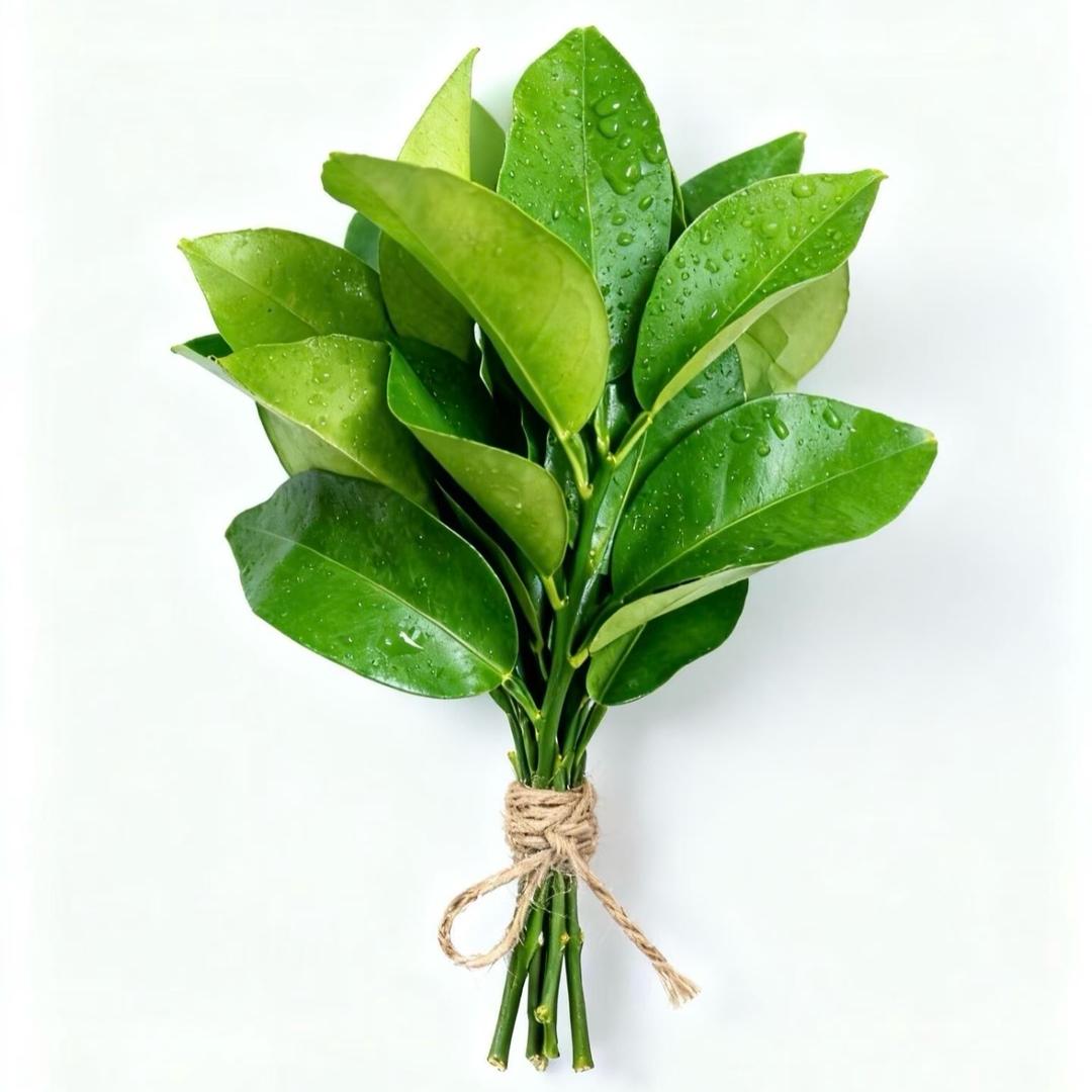 丢丢【广西表妹】