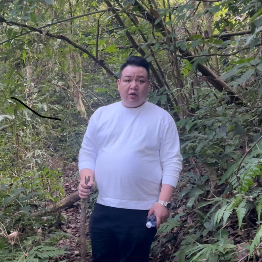 胖子家的源头普洱茶