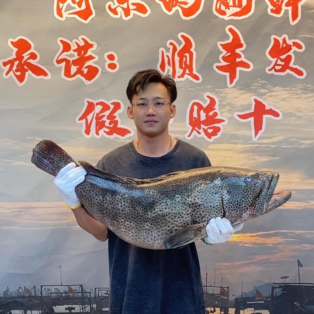 乐乐寻优海鲜（阿乐）