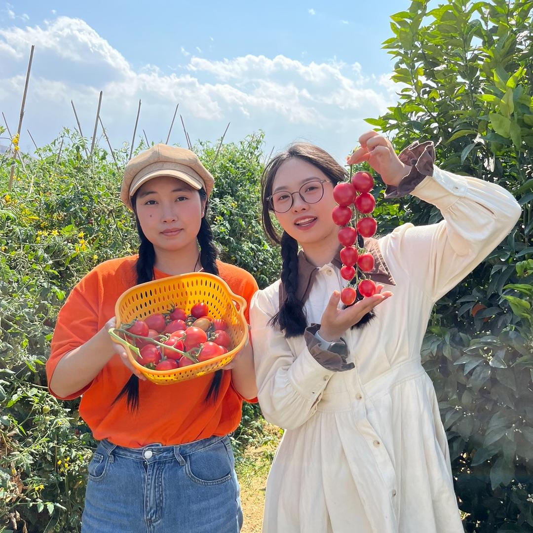 梦回田坎生鲜店