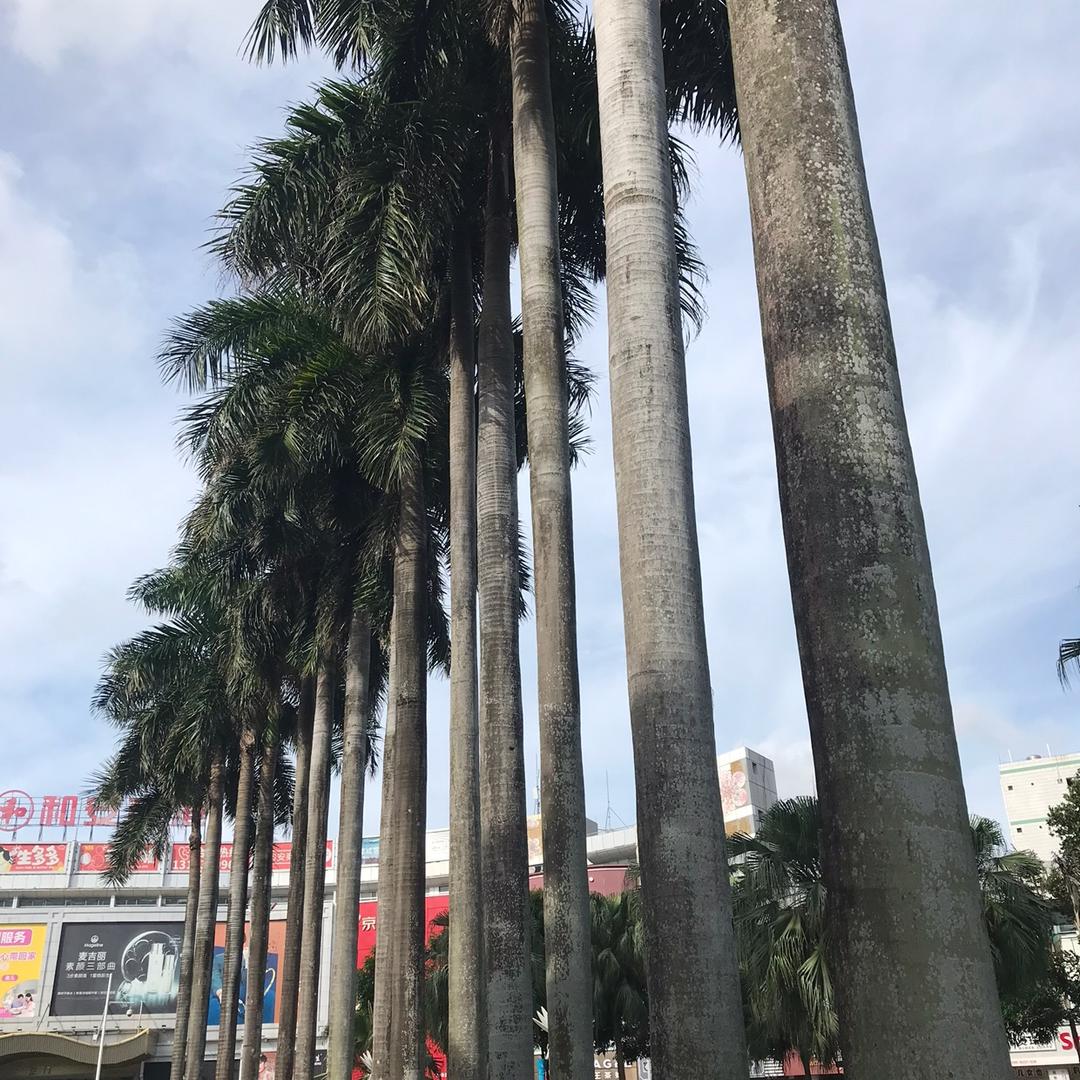 🌈冬日暖阳🌈