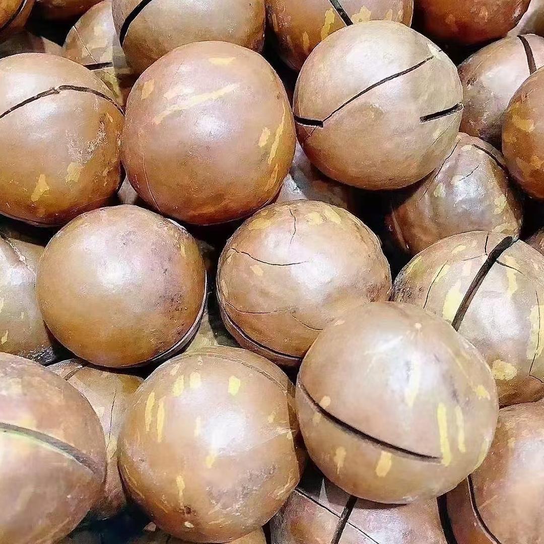 果优优坚果一店