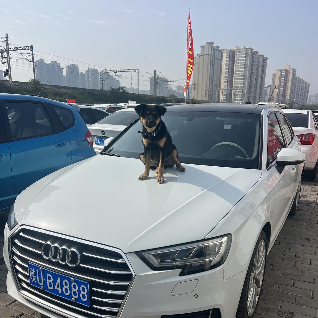 西安惠车邦二手车