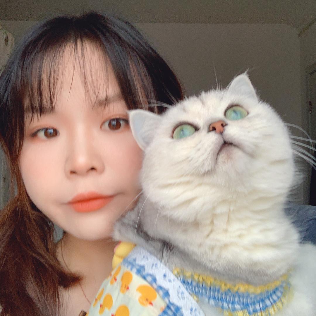 叮叮的脑洞