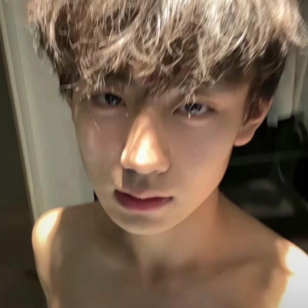 ㅤㅤㅤㅤㅤ   ㅤㅤ