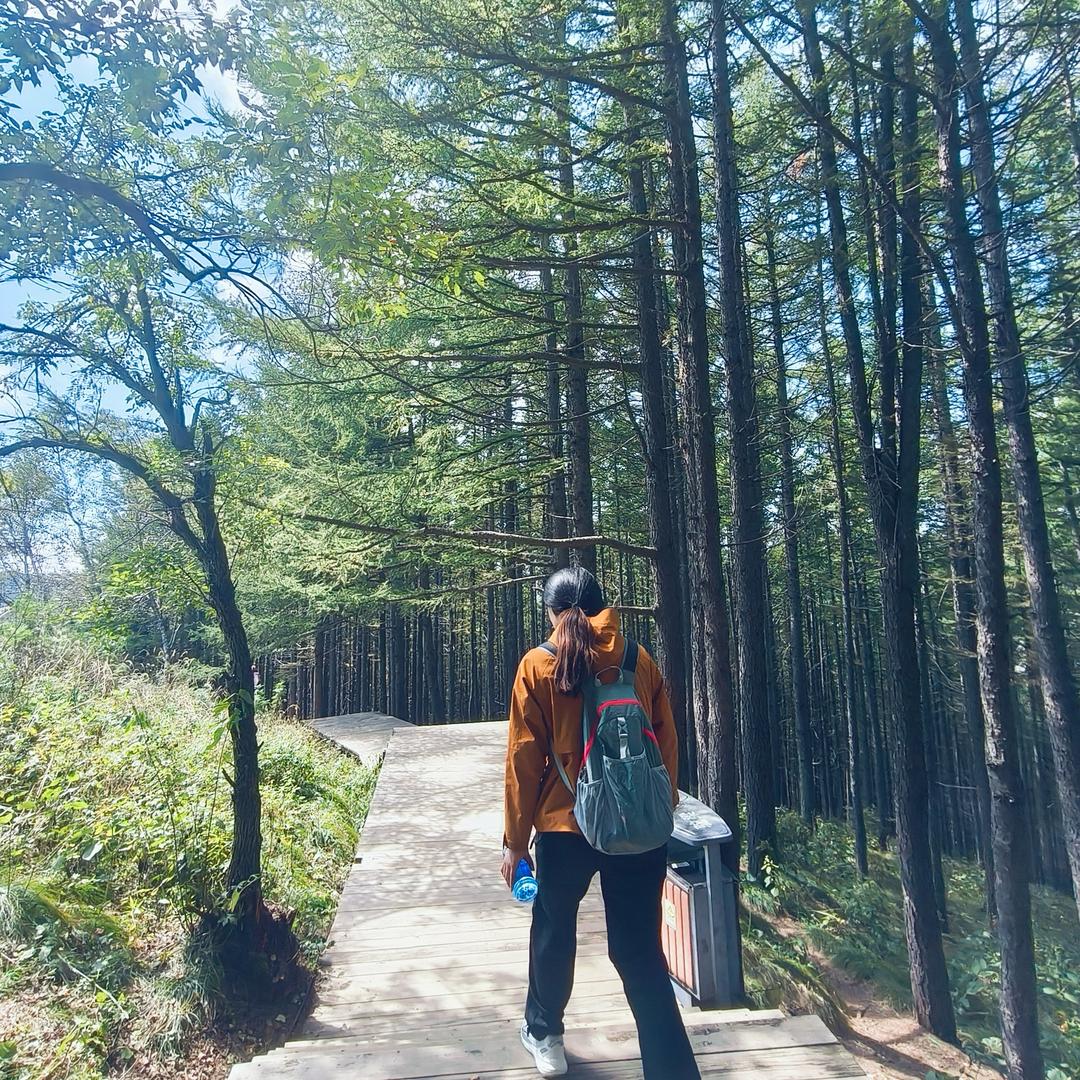 慧慧没烦恼.