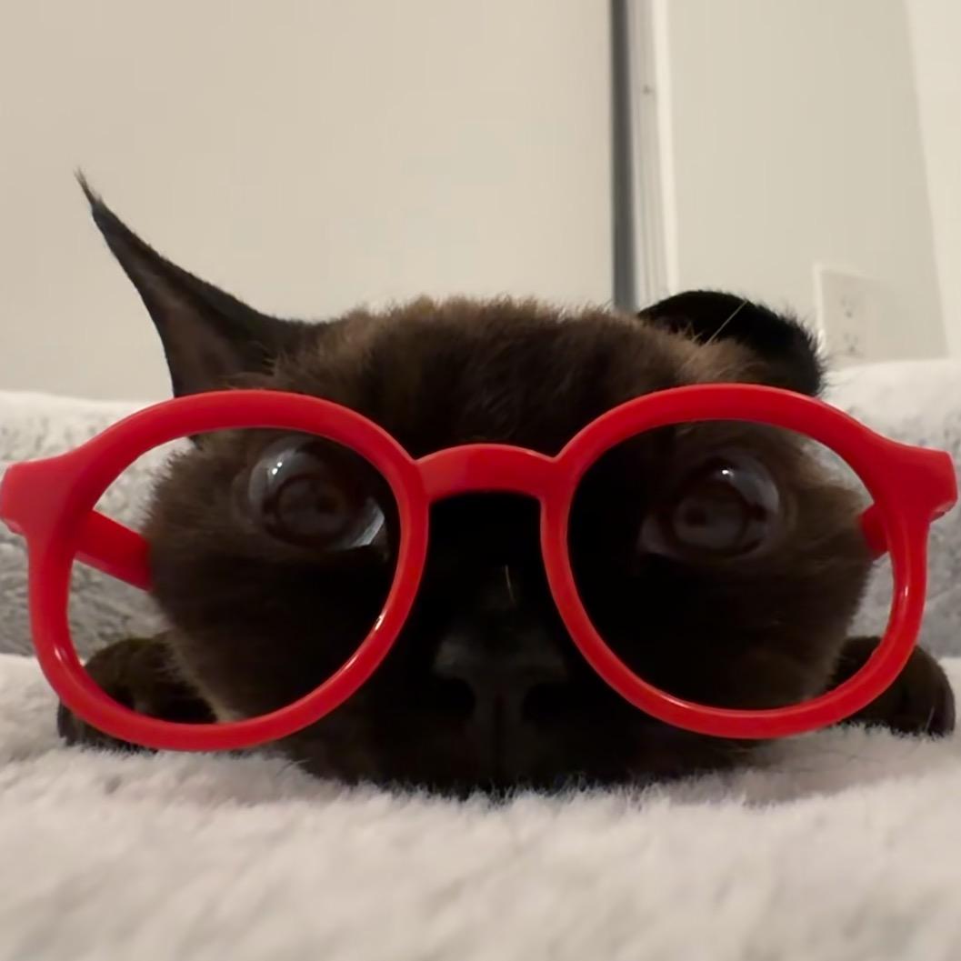 小臻