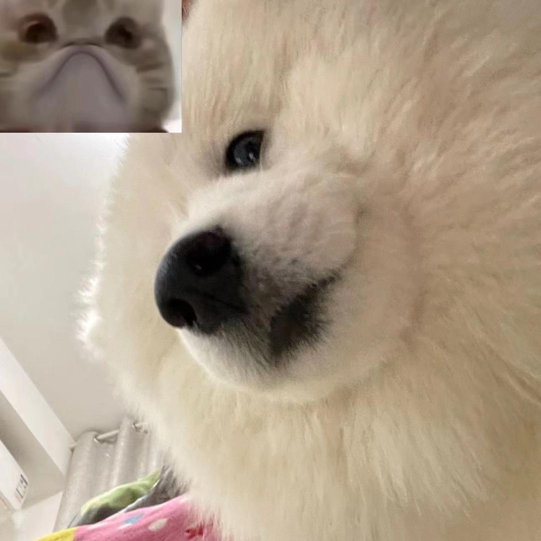 吃了吗您