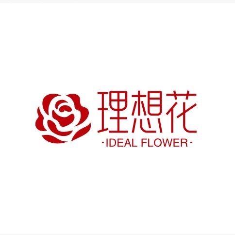 昆明斗南理想花卉