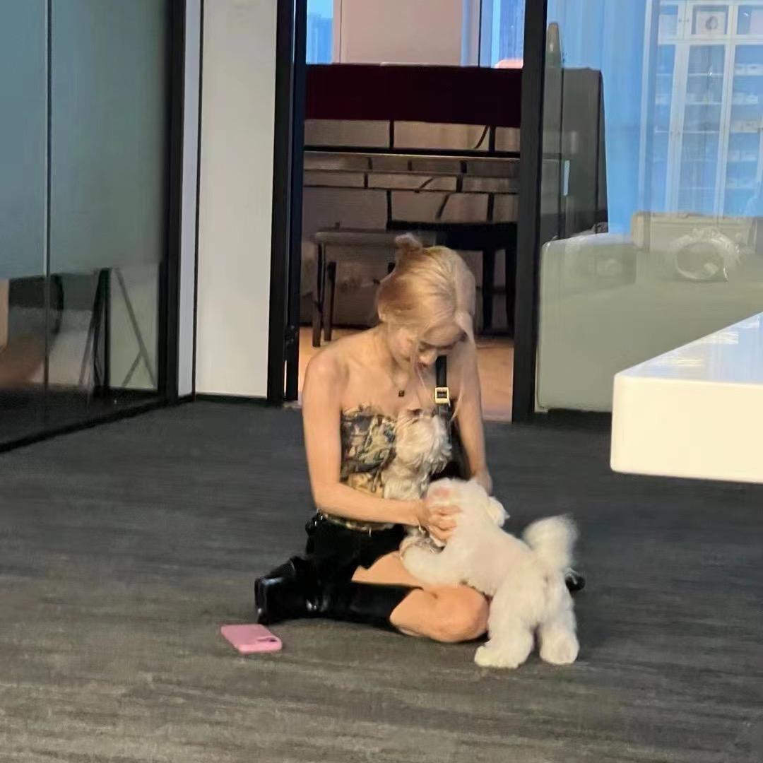 🧸.