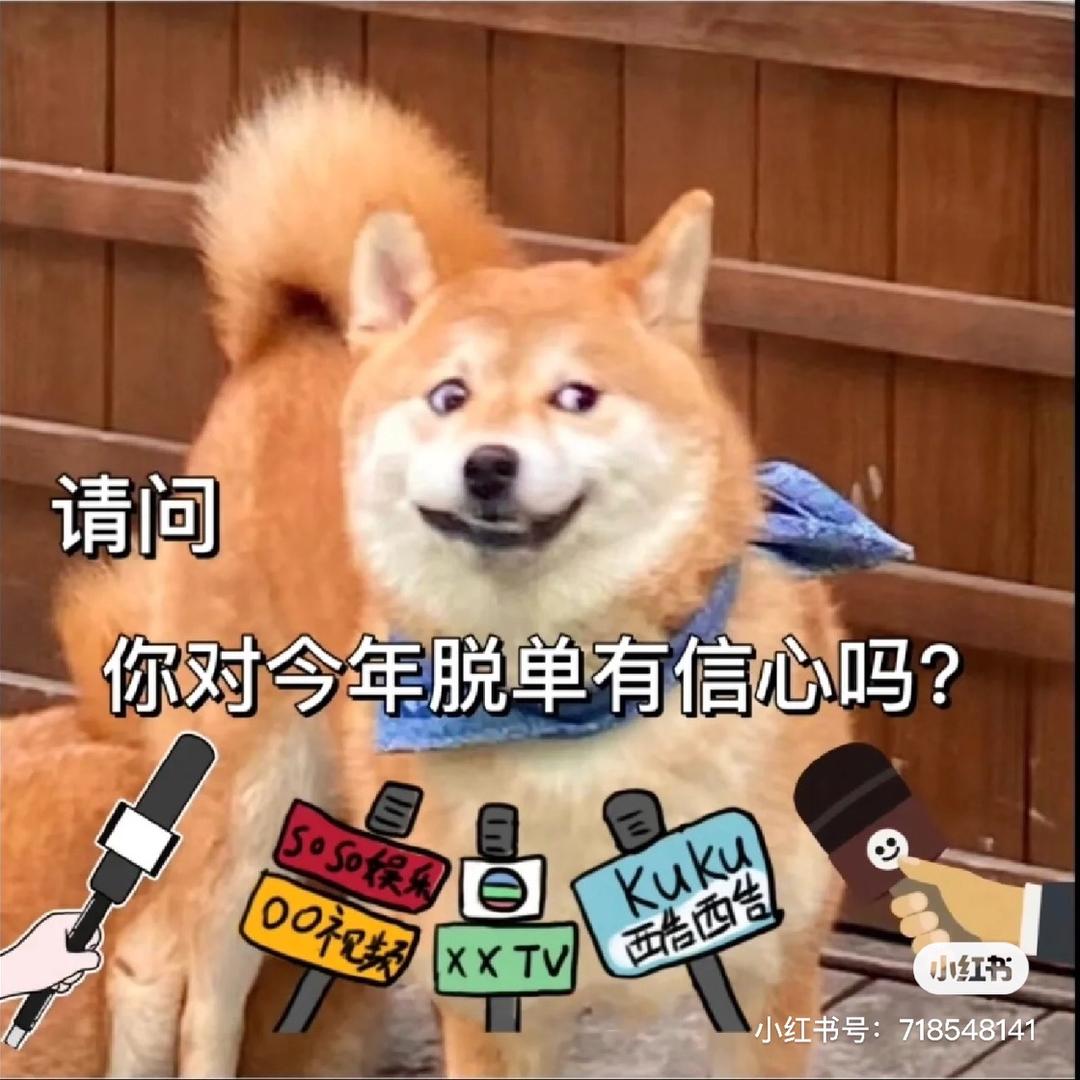 宁波小仙女