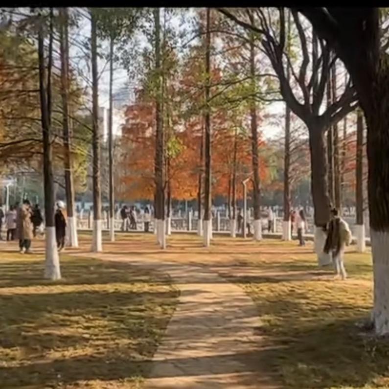 王铁平：苏州苏佳旺汽车服务有限公司