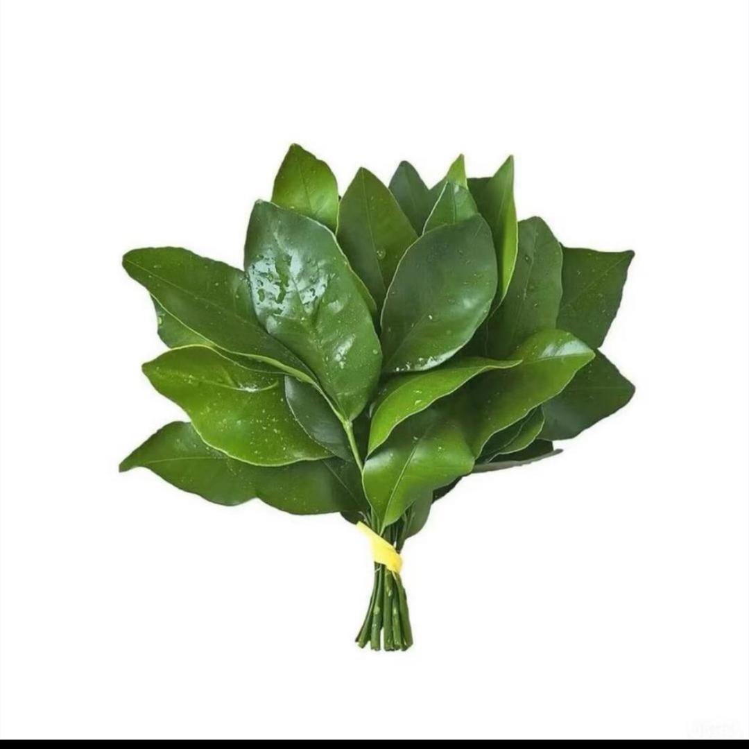 火爆辣椒🌶️