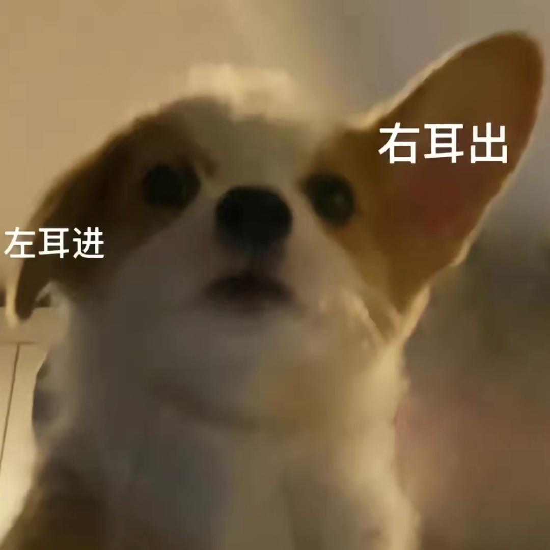 是小王吧