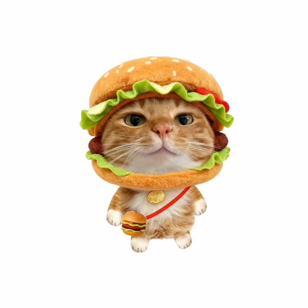 小佳🍔
