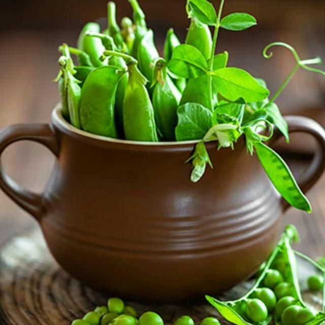 晓康哥社区麻辣烫(天立店)官方号