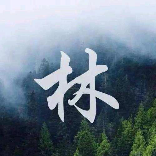 林氏总会