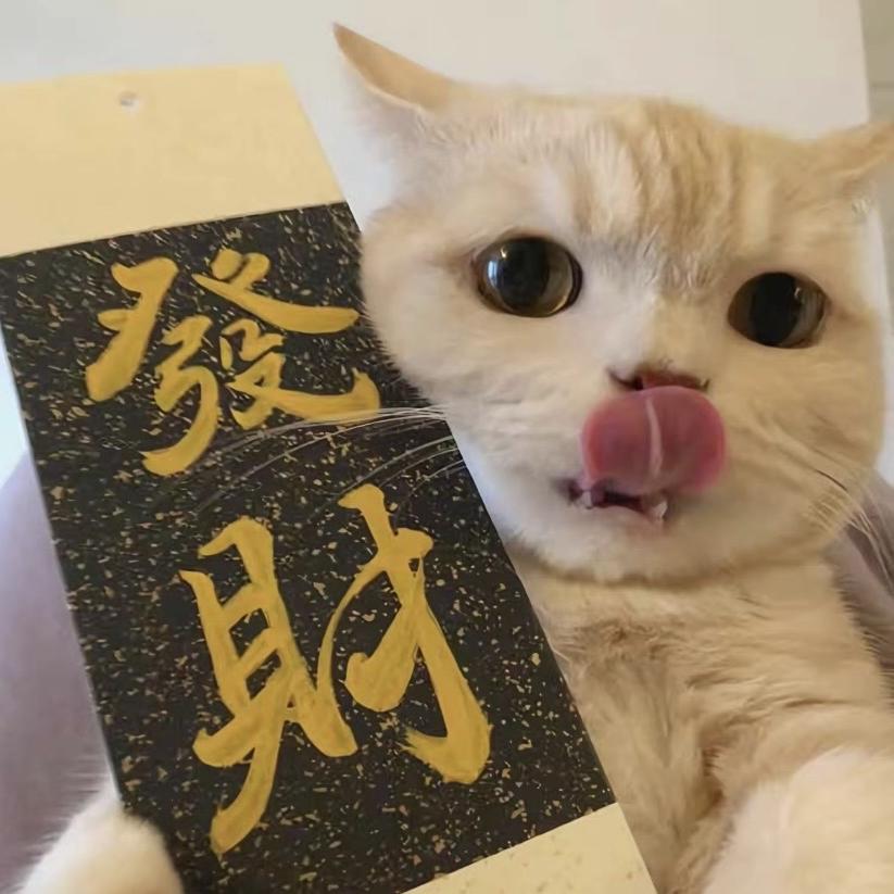 流浪小鱼才才潮玩