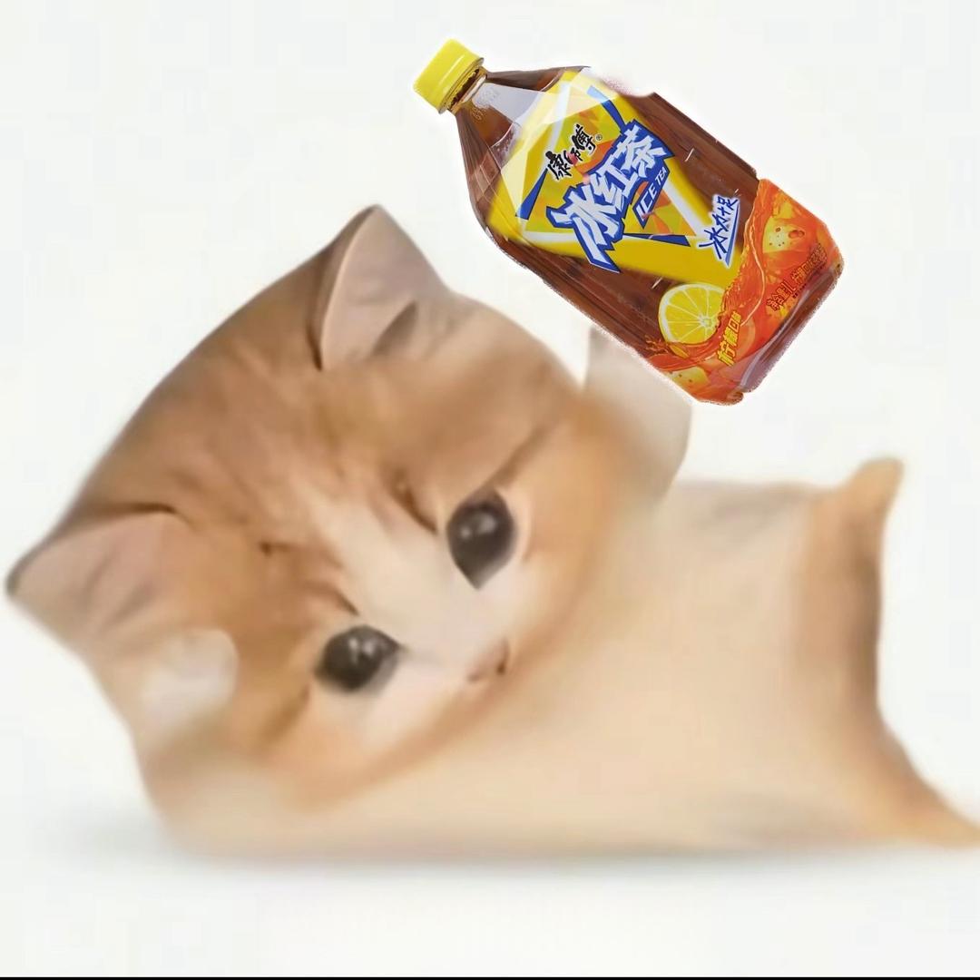cilint