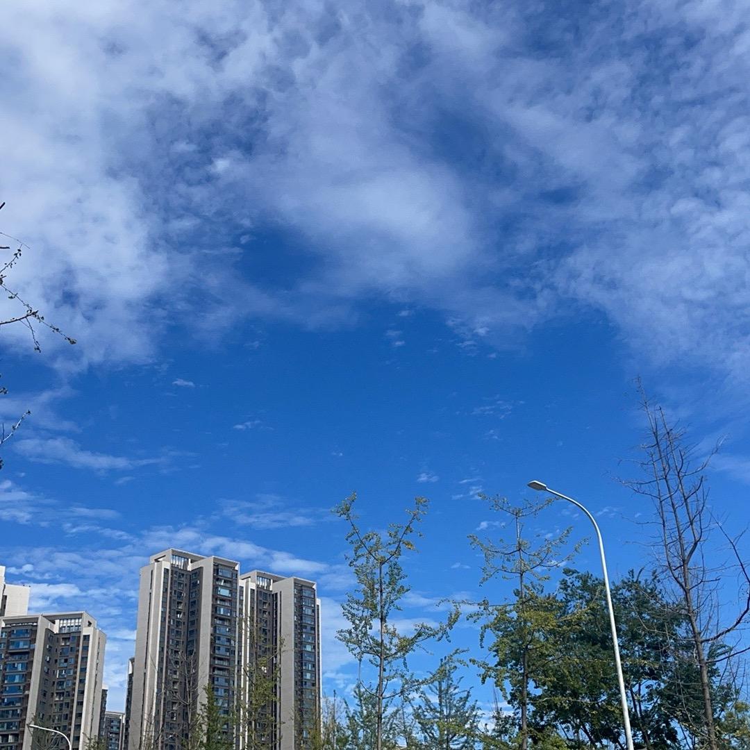 柒柒