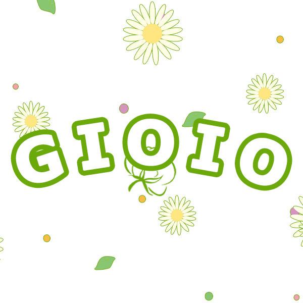 GIOIO运动户外旗舰店