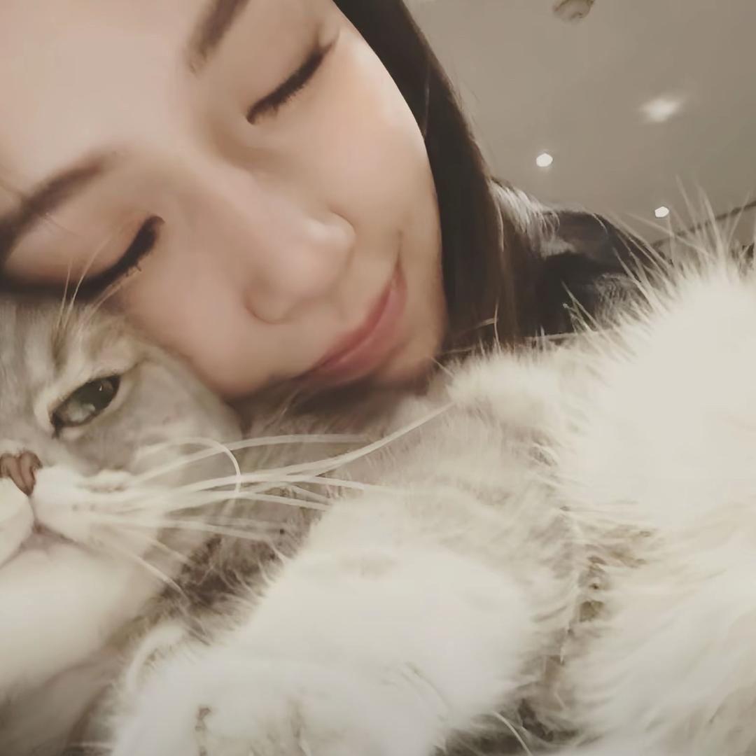 慈利angelababy💃灿老婆版