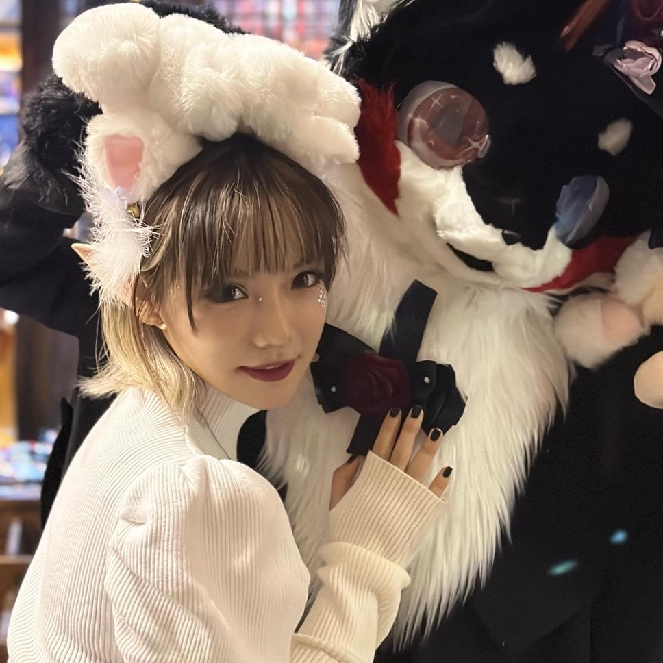 嗨 猫警长