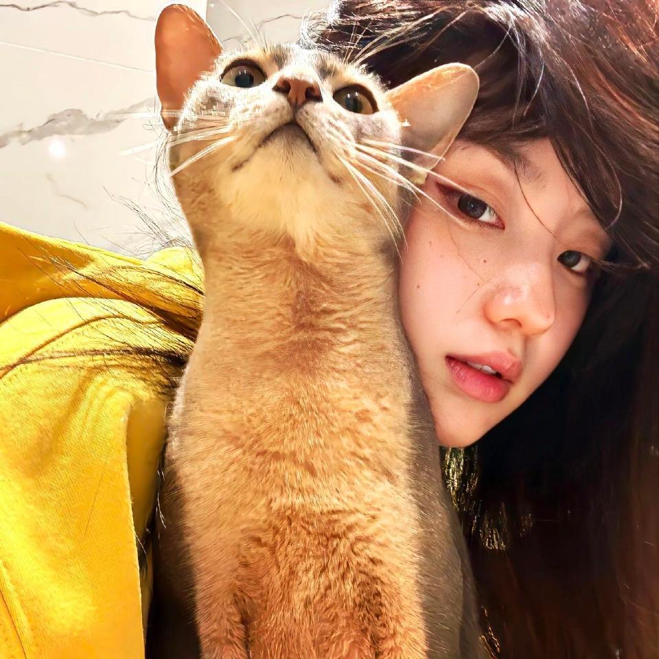 猫猫雨