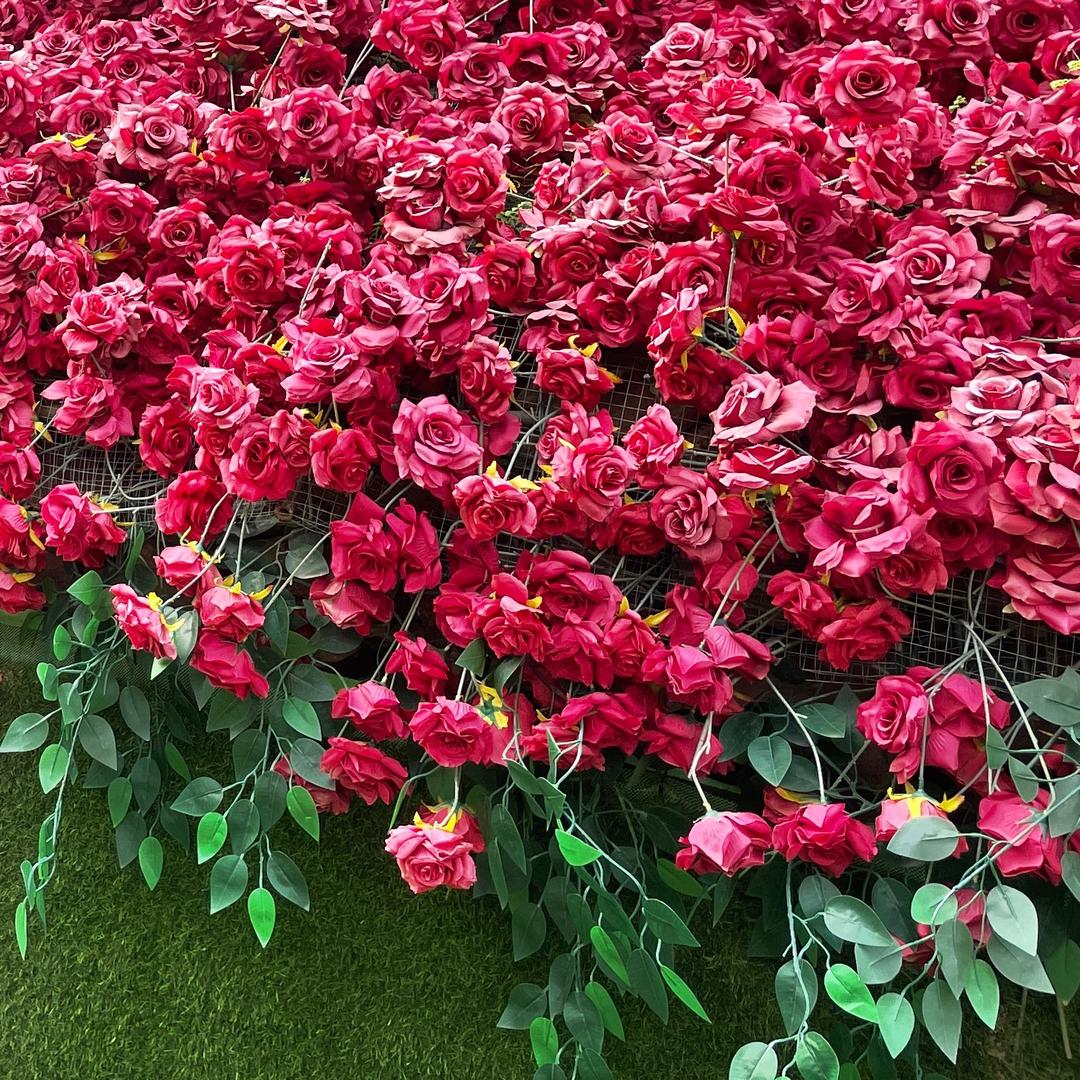 一路生花🌸