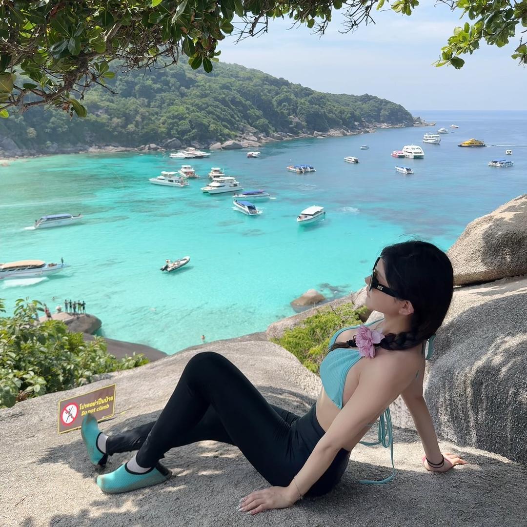 拿不动铁的喵🌟